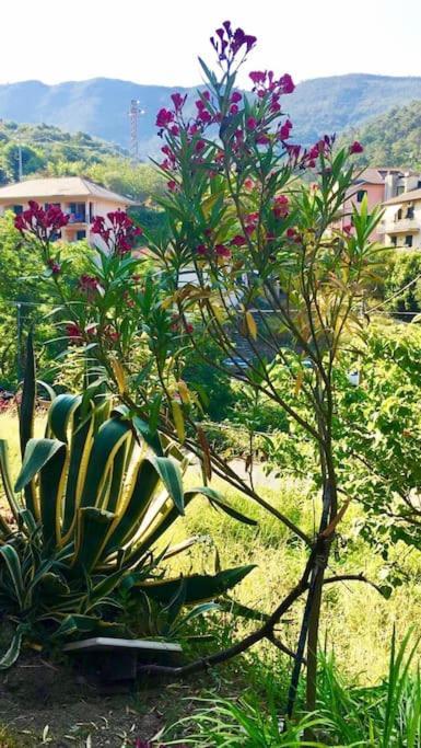 La Casa Novella, A 10 Minuti A Piedi Dal Mare Moneglia Exterior foto
